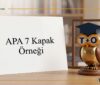 apa 7 kapak örneği
