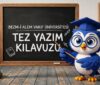 Bezm-i Alem Vakıf Üniversitesi Tez Yazım Kılavuzu