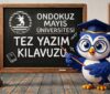 Ondokuz Mayıs Üniversitesi Tez Yazım Kılavuzu