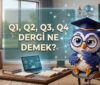 Q1, Q2, Q3, Q4 Dergi Ne Demek?